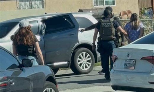 DAILY MEMO: In New Tactic, ICE Kidnaps Random Bystanders Near Foiled Raid Sites ~ L.A. TACO