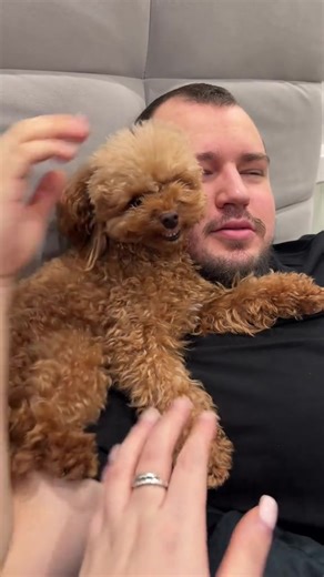 Funny Reactions of an Angry Dog