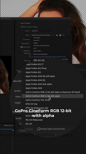 How to Export Transparent Background Videos in Adobe Premiere Pro CC