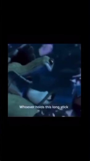 Master Oogway "You Were Always My Nigga" Meme 🐢🔥 | Kung Fu Panda Funny Edit #shorts