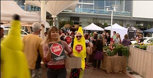 CONGA LINE PROTEST - NBN News