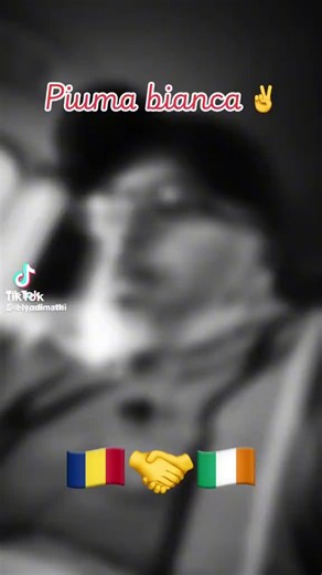 Jan's tools (@jans.tools)’s videos with sunet original - Jan's tools