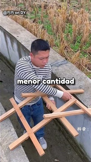 Leonardo da Vinci's incredible bridge that doesn't use a single nail