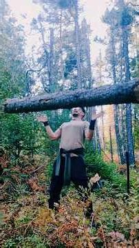 INTENSE KATANA TRAINING ● Flow State Sword Energy in the Woods