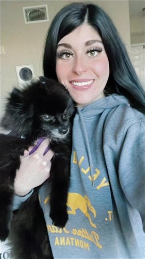 Meet The Adorable Black Pomeranian: Your New Favorite Pet! #shorts