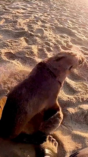 49 reactions · 13 shares | CUTTING THE LINE NOW AVAILABLE FOR...