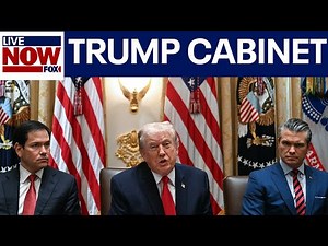 President Trump hosts cabinet meeting