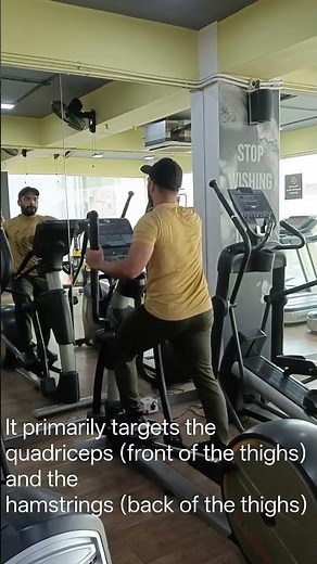 Walk Elliptical Cross Trainer.