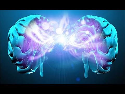 How the Human Brain Works - Part 1