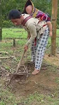 Building a Bamboo House: Sustainable Dream in Progress #BambooHouse #EcoFriendly #SustainableLiving
