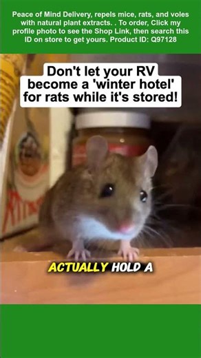 These are repellents for rodents.