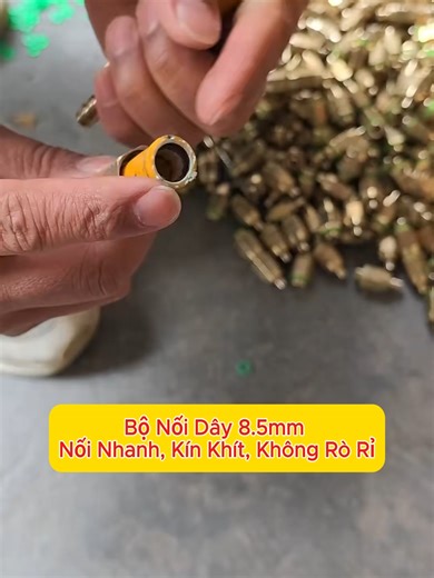 Dây 8 Chấm Năm: So Sánh Và Chọn Lựa Hiệu Quả