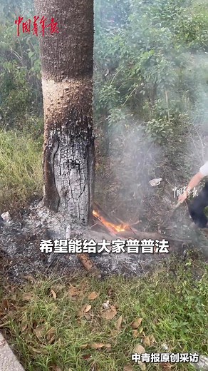 A man spotted an elderly person burning a tree by the roadside and rushed forward to stop the fire and put it out. 👏 His quick action helped prevent a potential accident. 🔥 #ChinaStory #URHero | China News 中国新闻网