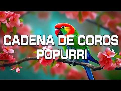 🔥 Coros Viejitos Pero Bonitos - Coros Pentecostales - Mas De 100 Coros Avivamiento Pentecostal🕊️
