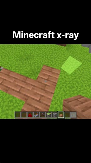 Minecraft X-ray 🤯 #minecraft #viral