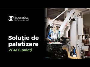 Depaletizare automată cu robot ABB IRB 660 | Înlocuiește 30+ operatori | Amortizare rapidă
