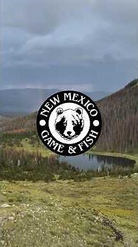 Game and Fish Deliver Vital Minerals to Bighorn Sheep