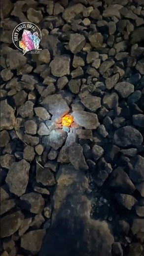 GLOWING Yooperlites in GREENLAND #geologypage #geology #sodalite #rock #minerals ￼