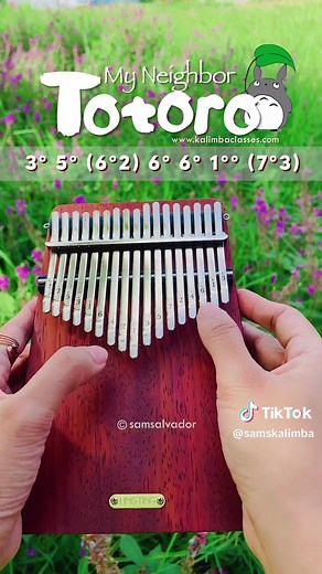 My Neighbor Totoro Kalimba Tutorial #kalimba #kalimbatutorial #kalimbatabs #myneighbortotoro