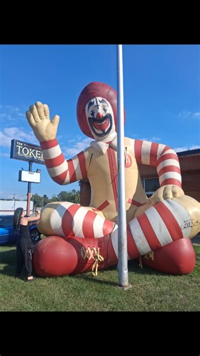 Tonight! GREEN JELLY • Dogz Of War•The Winter After • The All Mighty Exploding Venboy•Stick Boovy•General 11 | The Token Lounge