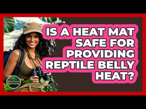 Is A Heat Mat Safe For Providing Reptile Belly Heat?