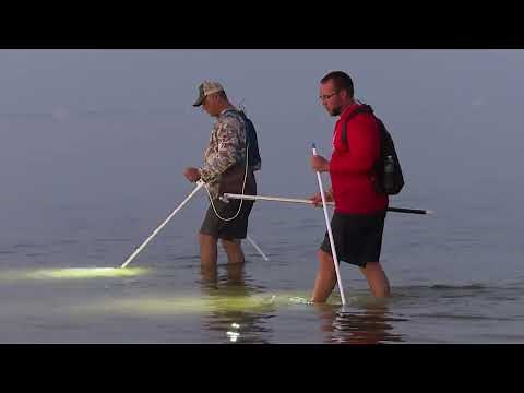 How to Gig for Flounder - Cat Island (Mississippi)