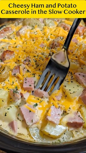 61K views · 205 reactions | Cheesy Ham and Potato Casserole in the...