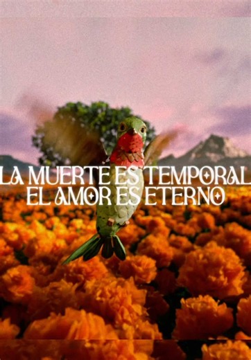 Guarda el video, ve a YT a ver el Guarda el video ve a YT a ver el corto, y cuéntame qué te pareció. Esta canción se siente, pero con este cortometraje de Cerveza Victoria se siente aún más….Amor eterno se resume en una frase: la muerte es temporal #viral #juangabriel #amoreterno #elamoreseterno #reaccion