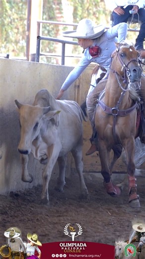 Grandes momentos de charreria en la Olimpiada Nacional CONADE del 19 al 23 de mayo en el Lienzo Charro Rancho Santa María en Tlajomulco de Zúñiga, Jalisco. Sigue las transmisiones en vivo por Facebook y YouTube de la Federación. @conadeoficial #conade #olimpiadaconade2025 #charreria #charros #coleadero | Federación Mexicana de Charrería A.C.