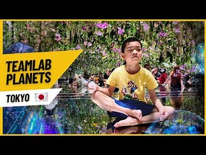 teamLab Planets Tokyo: A MUST-SEE in Japan!