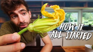 3 Creative Ways to Cook with Zucchini Flowers 🌸
