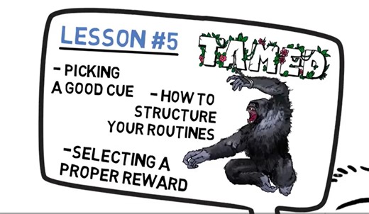 修炼专注力 提升学习力的制胜法宝-Tamed lessons系列课程之最重要的一课