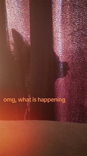 Bean Vibin #abeanstale #beans #beanstiktok #tiabeanie #furbabies #beanstok #dogs #dogsoftiktok #pups #pupsoftiktok #terriersoftiktok #terrier #dogtok #fypage #follow #like #share #beanswillbeback #share #chihauhau #mix #jazzy #jazz #jazztok #silhouette #weirdo