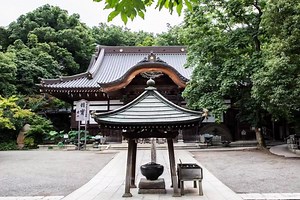 50K views · 332 reactions | This is a picture of the second oldest temple in Tokyo called Jindaiji. How about joining a guided tour that takes you away from the crowded downtown streets and out to a more leisurely part of Tokyo where you can take a stroll in nature? https://www.gotokyo.org/en/guide-services/spiritual-calm/index.html | TOKYO VOLUNTEER GUIDE | Facebook