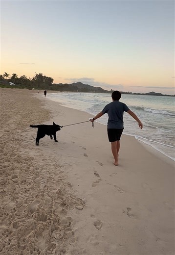 First Beach Walk for Our New Labrador Puppy
