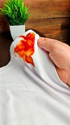 How to remove tomato stains from clothes.