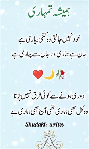 Dosti Shayari | Friendship Shayari 2 line | New Friendship Poetry in Urdu #foryou #shorts