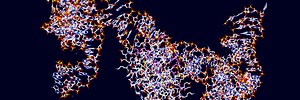 Quest for self-replicating RNA edges closer to life’s possible origin