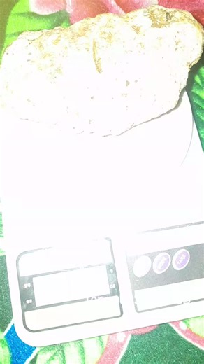 Brown ambergris sell 5000 USD.