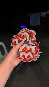 Parang bubuyog na alitaptap | Jezelle's Vlog 2