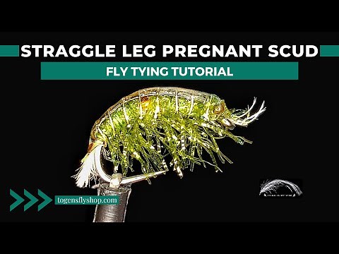 Straggle Leg Pregnant Scud - Fly Tying Tutorial