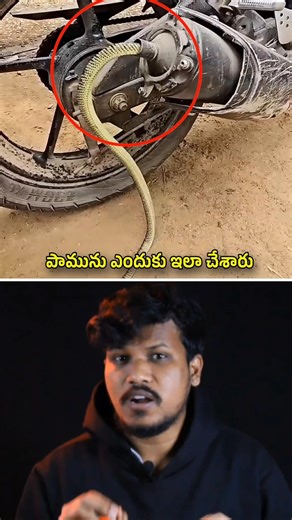 🚨Shocking facts about snake telugu #shorts