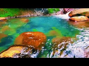 Relaxing Music for Classroom | Focus & Calm Study Music