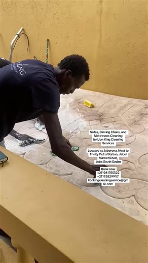 Lion King Cleaning service on TikTok