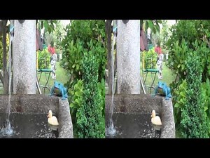 Sony HDR-TD10E 3D-Side-by-Side Testaufnahme