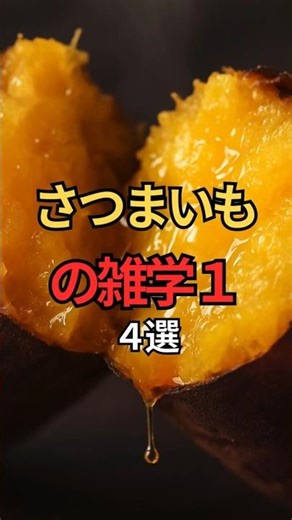 さつまいもの雑学１ #食べ物 #栄養 #健康 #雑学 #さつまいも #shorts #野菜