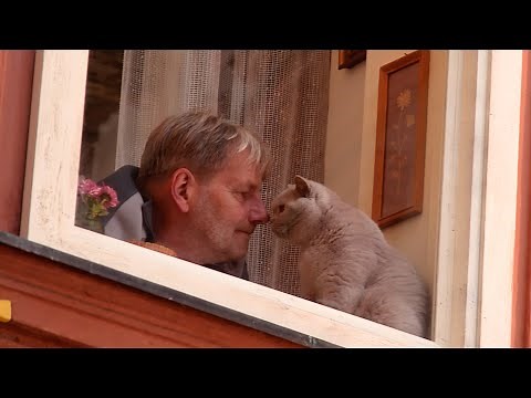 猫たちのCM撮影がかわいすぎる！　少年との日常に“感動とほっこり”のYKK AP新CM「いつもの場所」篇