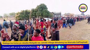 [KOMA] Nase dialoga tsa koma ya rabadia Mokgobi wa Jamela Village thabeng tsa Mamaila Ga-Phaphadi. #Koma #initiation #school | Perfect Radio