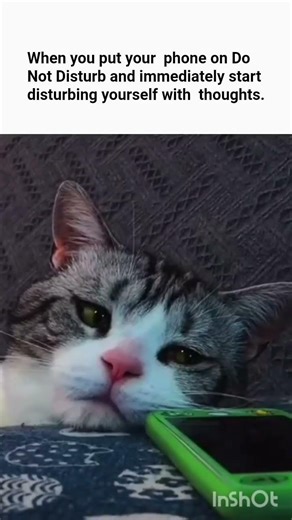 Do not disturb #relatable #shorts