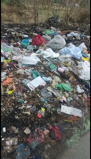 Understanding the Impact of Improper Waste Disposal on the Environment